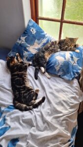 WhatsApp Image 2024-07-09 at 10.53.18_e612baf8