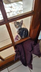 WhatsApp Image 2024-07-09 at 10.53.21_43870946