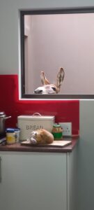 WhatsApp Image 2024-07-09 at 13.18.17_d7f3c8c5