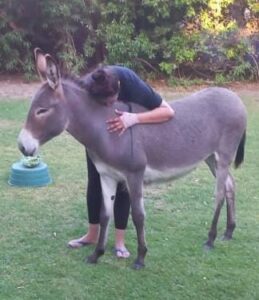 WhatsApp Image 2024-07-09 at 17.56.14_d5e816bc