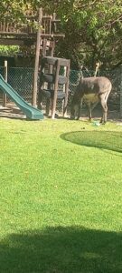 WhatsApp Image 2024-07-09 at 17.56.56_1913ba4f